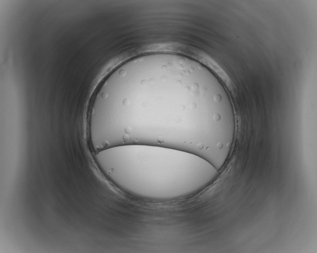 X0000111210994200907081258