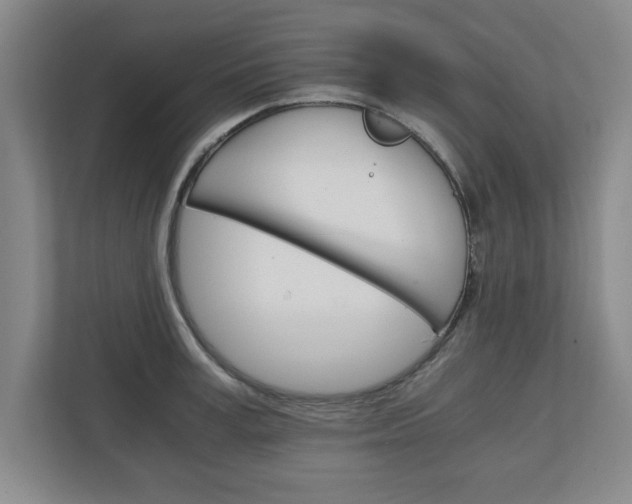 X0000111210995200907081258