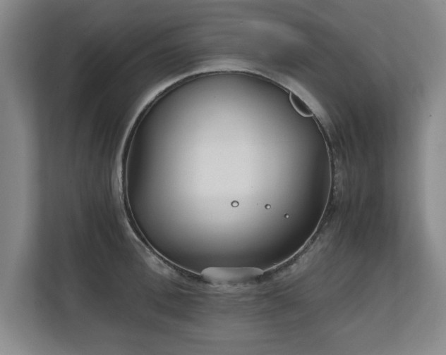 X0000111210996200907081258