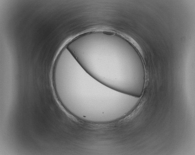 X0000111210997200907081258