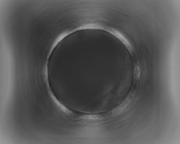 X0000111210998200907081258