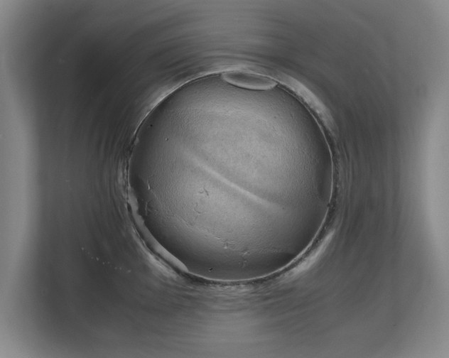 X0000111211001200907081258