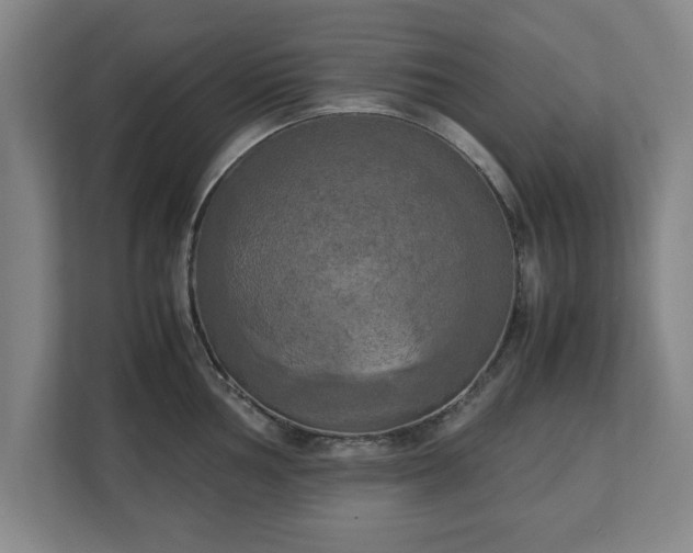 X0000111211002200907081258