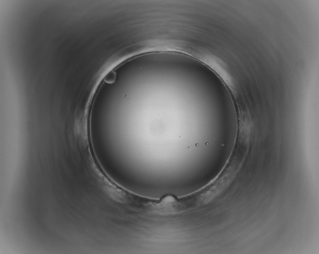 X0000111211004200907081258