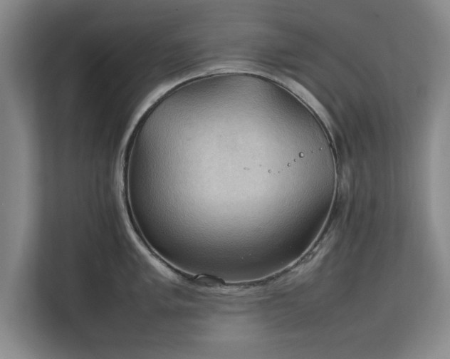 X0000111211005200907081258