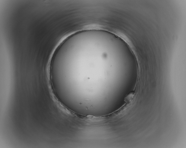 X0000111211008200907081258