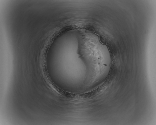 X0000111211009200907081257