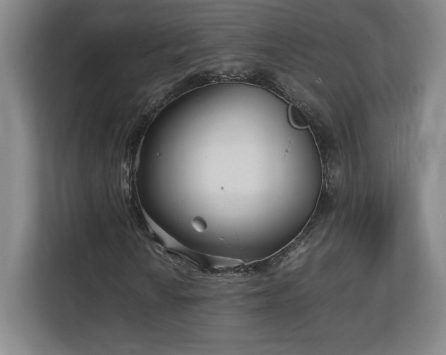 X0000111211010200907081257