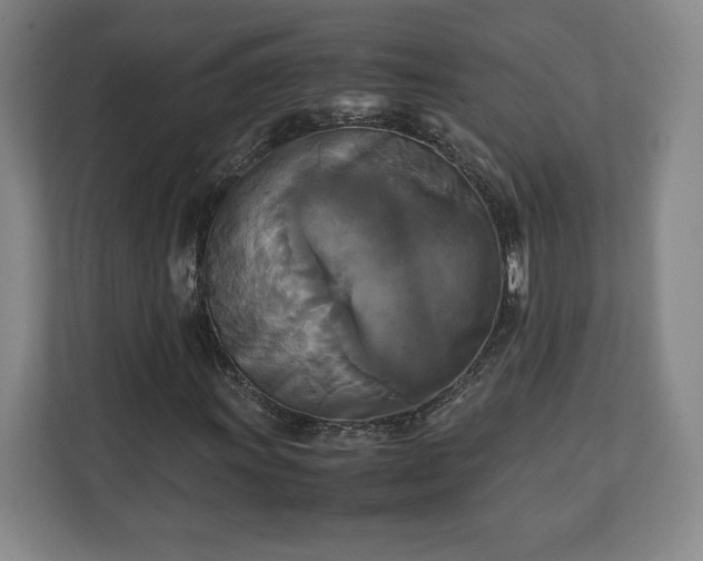 X0000111211011200907081257