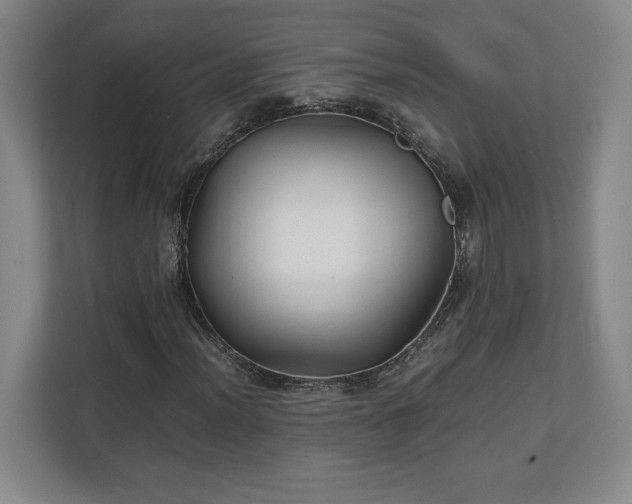 X0000111211012200907081257