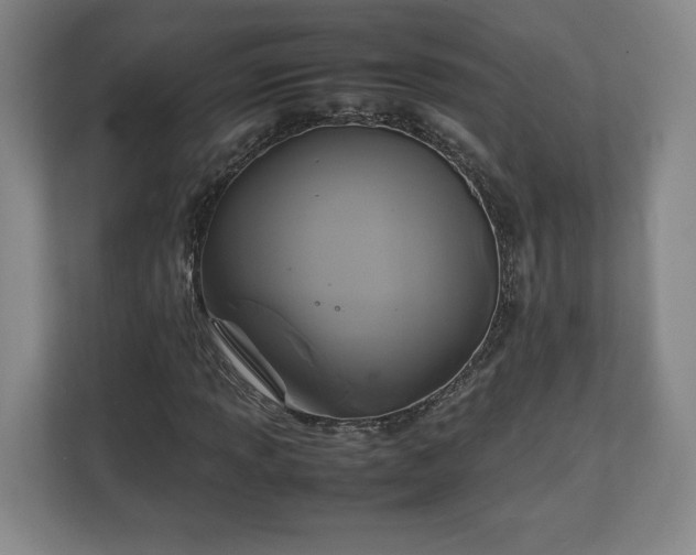 X0000111211013200907081257