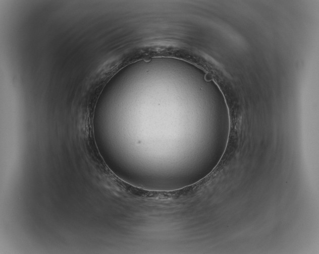 X0000111211014200907081257