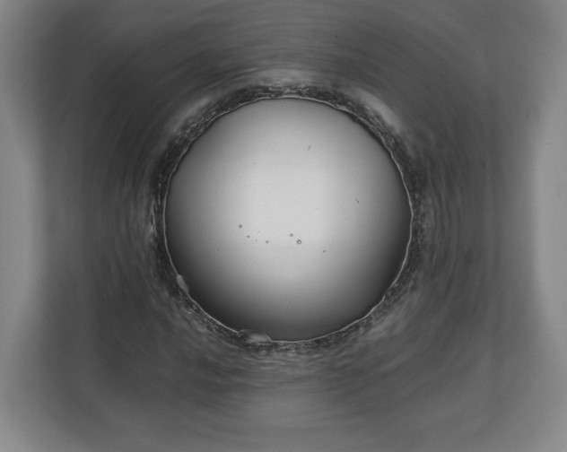 X0000111211016200907081257