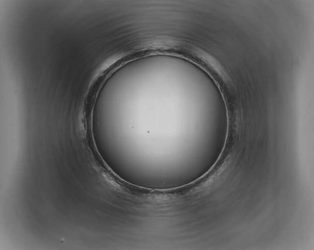 X0000111211018200907081257