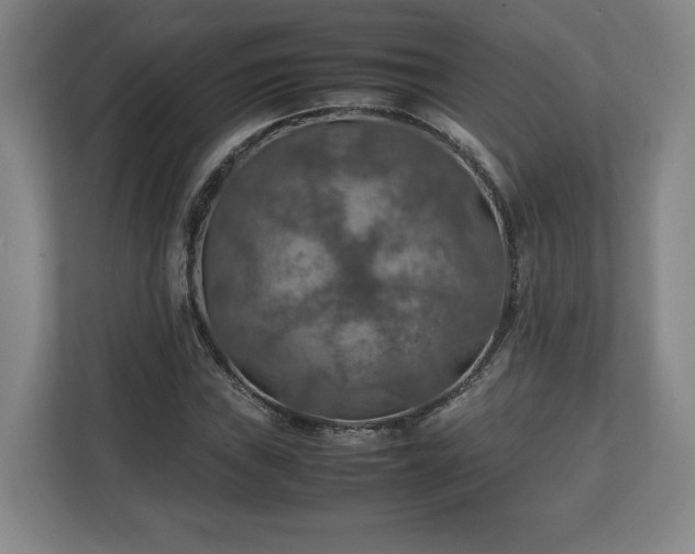 X0000111211019200907081257