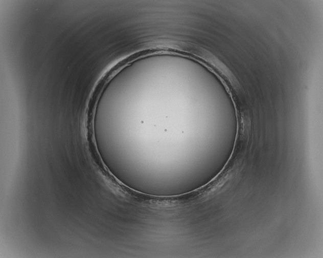 X0000111211020200907081257