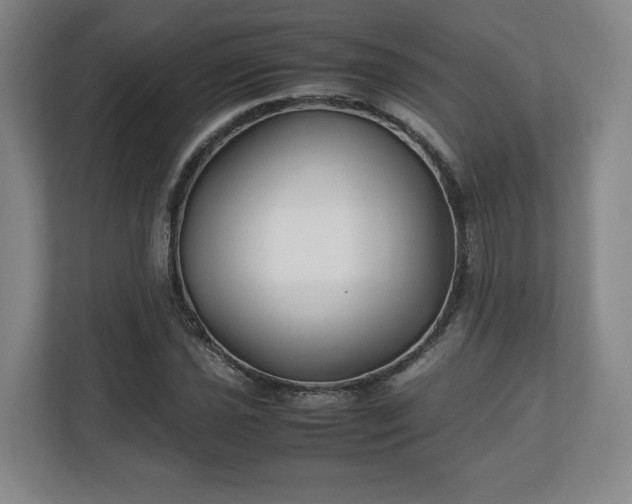 X0000111211021200907081257