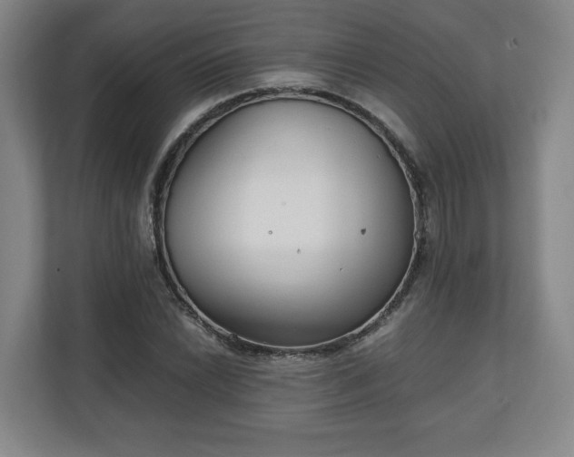 X0000111211022200907081257