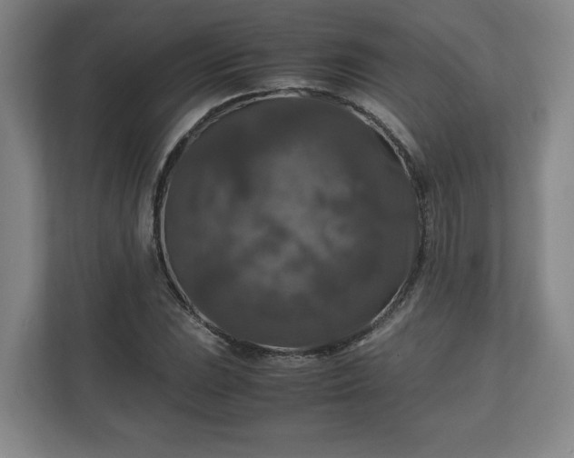 X0000111211023200907081257