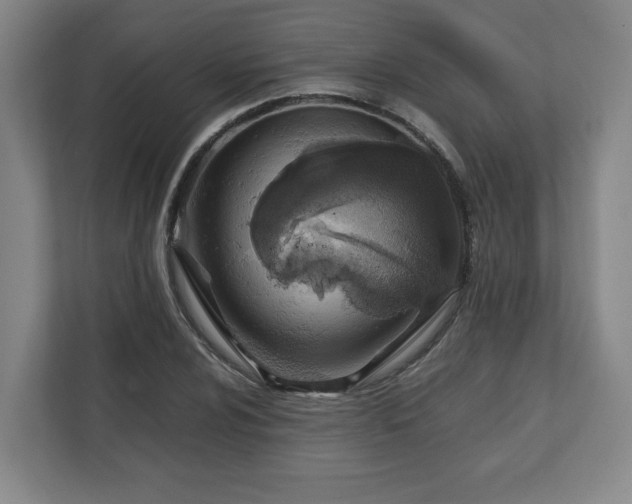 X0000111211024200907081257