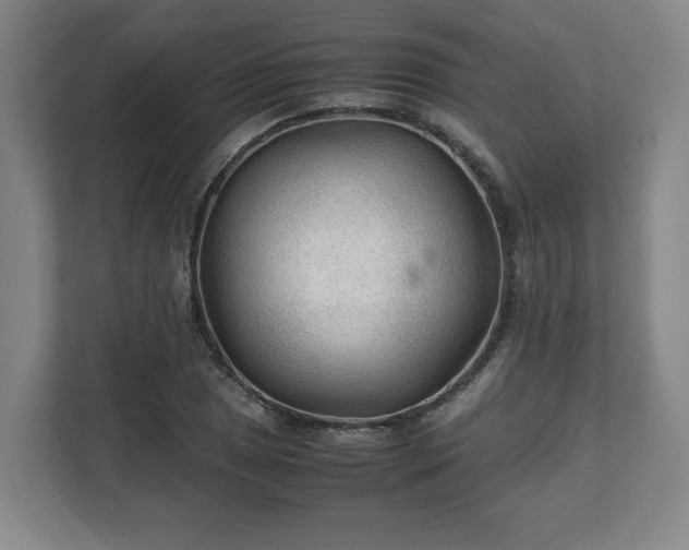 X0000111211025200907081257