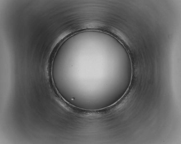 X0000111211026200907081257