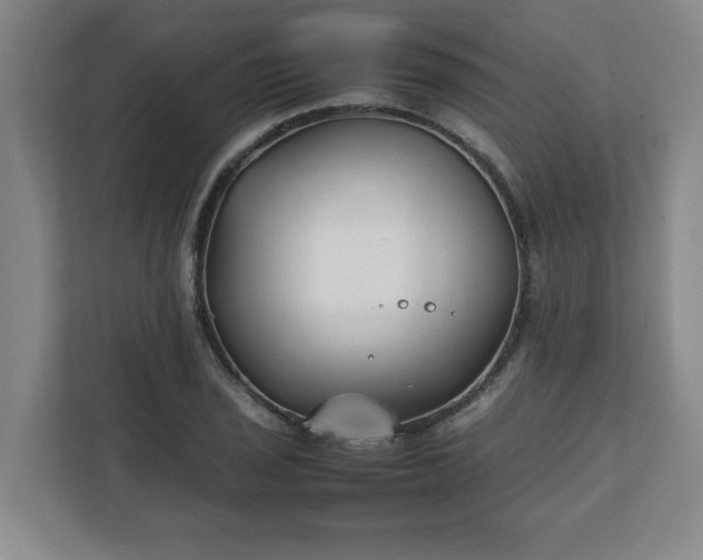 X0000111211029200907081258