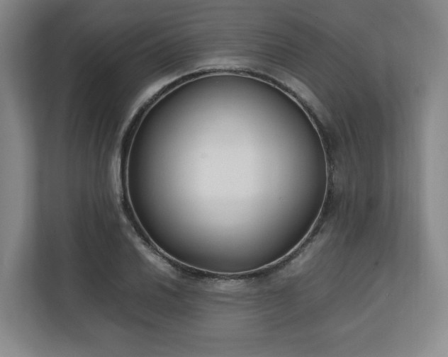 X0000111211030200907081258