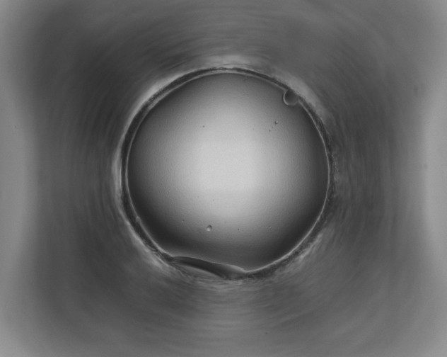 X0000111211032200907081258