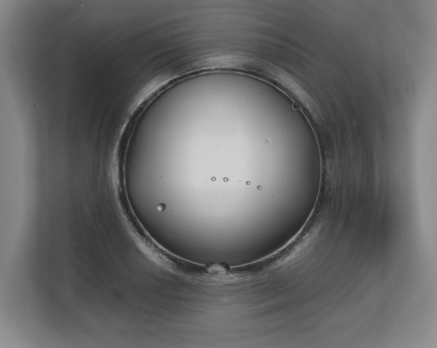 X0000111211034200907081258