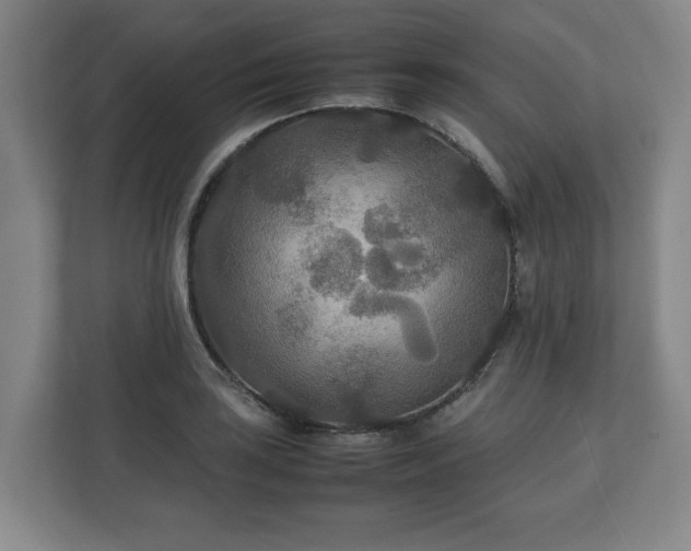 X0000111211035200907081258