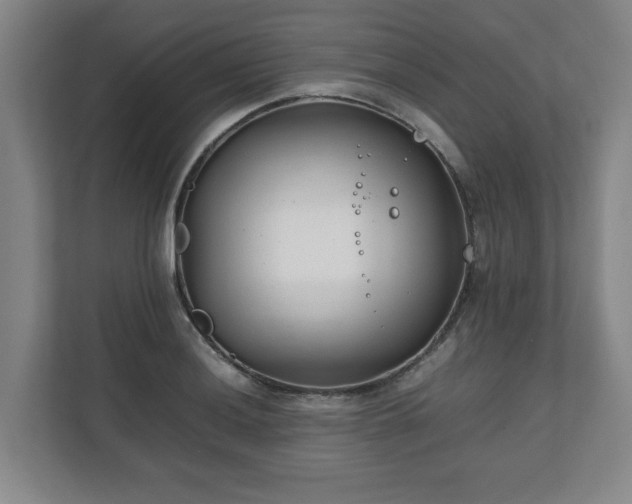 X0000111211036200907081258