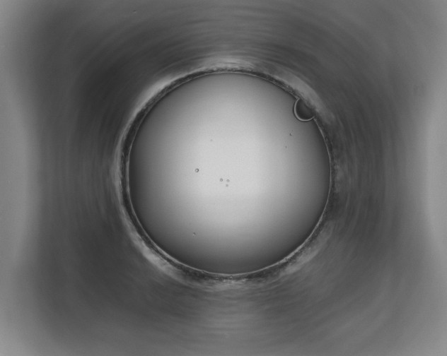 X0000111211038200907081258