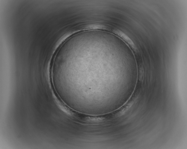 X0000111211039200907081258