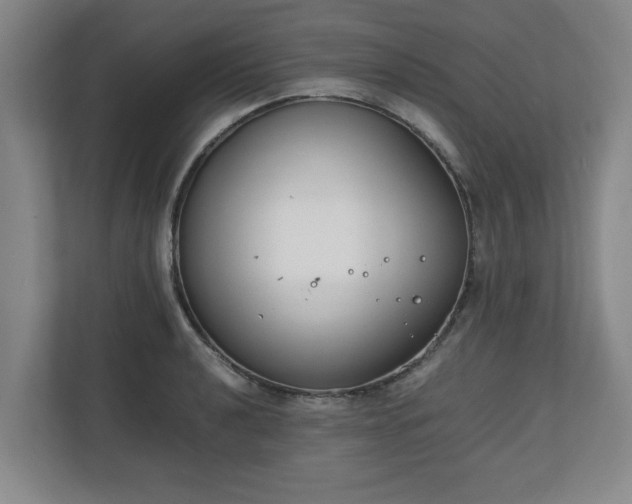 X0000111211040200907081258