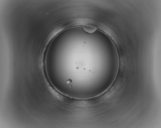 X0000111211042200907081258