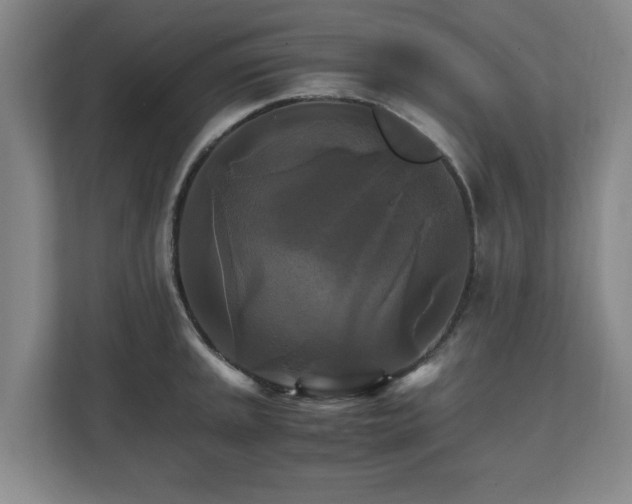 X0000111211045200907081258