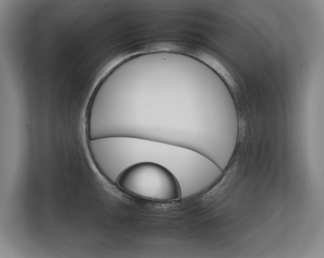 X0000111211047200907081258