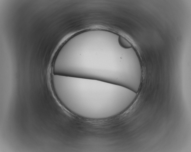 X0000111211048200907081258