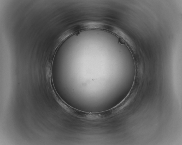 X0000111211049200907081258