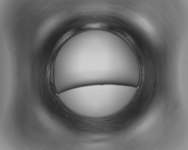 X0000111211052200907081258