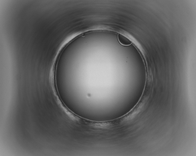 X0000111211053200907081258