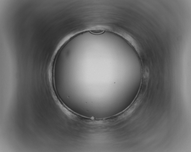 X0000111211054200907081258