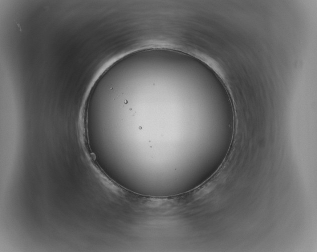 X0000111211056200907081258