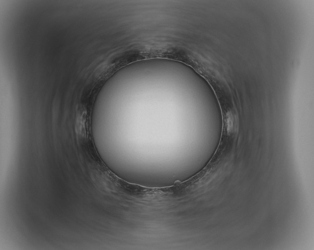 X0000111211059200907081257