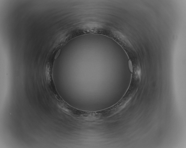 X0000111211060200907081257