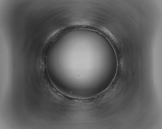 X0000111211064200907081257