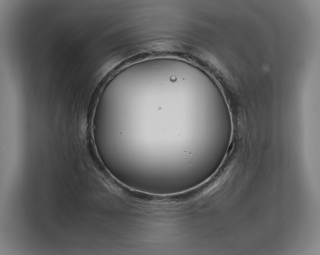 X0000111211065200907081257