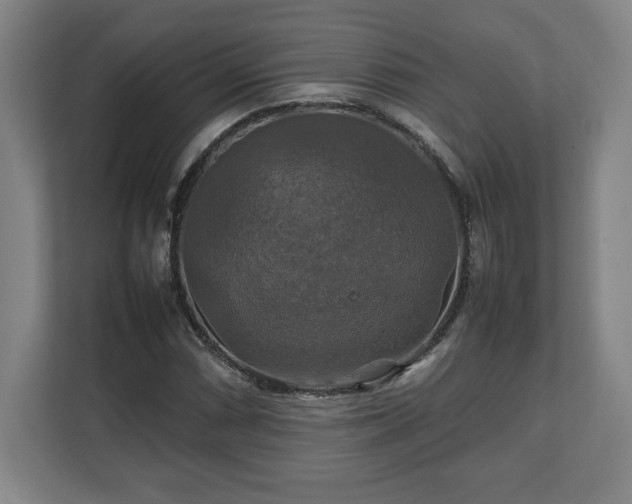 X0000111211066200907081257