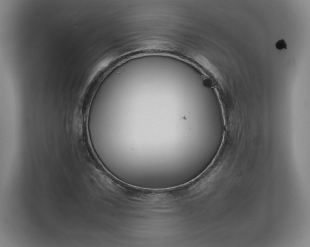 X0000111211067200907081257